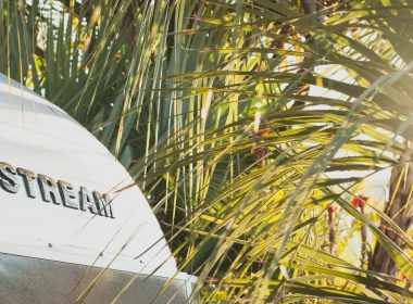 Close up of the Airstream name on a trailer with palm fronds in the background.
