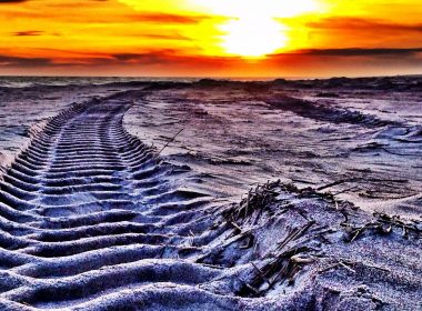 Truck tire tracks on sandy beach at sunset