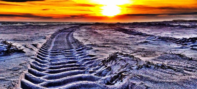 Truck tire tracks on sandy beach at sunset
