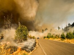 A en emergency vehicle drives out of thick smoked from a wildfire burning on both sides of a road.