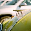 VW hood ornament on a bright green bug.