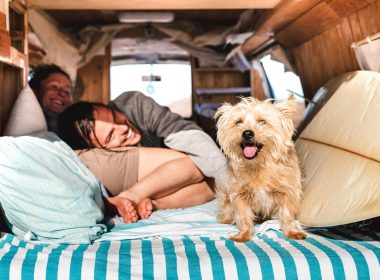A couple and their dog laughing in the bunk of their camper van.