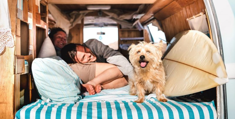 A couple and their dog laughing in the bunk of their camper van.