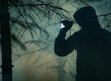 A shadowy figure of a person holding a flashlight as they approach through a dark forest.