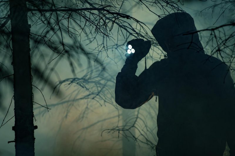 A shadowy figure of a person holding a flashlight as they approach through a dark forest.
