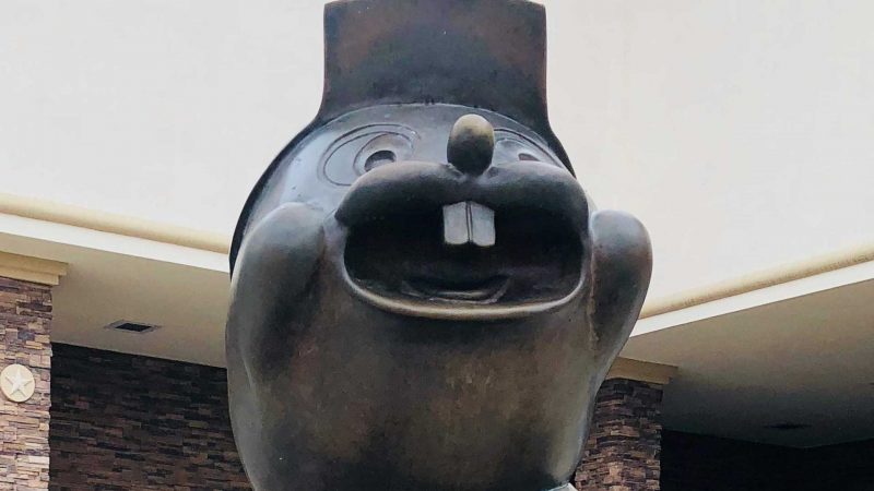 A closeup of Buc-ee the Beaver's face as a statue outside the travel center.