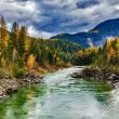 A forest with autumn trees turning golden yellow line a river flowing down from the mountain.