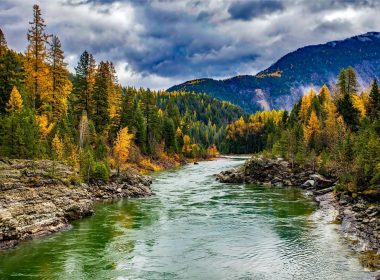 A forest with autumn trees turning golden yellow line a river flowing down from the mountain.
