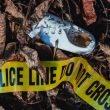 A single white shoe abandoned on the ground near yellow police tape.