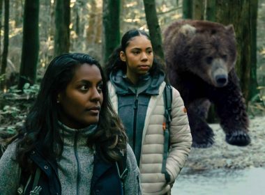 Two women hikers look up fearfully in low lit woods as a large brown bear approaches from behind them in the woods.