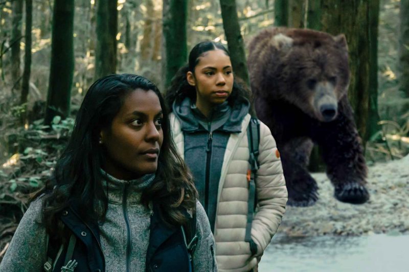 Two women hikers look up fearfully in low lit woods as a large brown bear approaches from behind them in the woods.