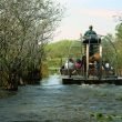 An airboat tour through the swamp.
