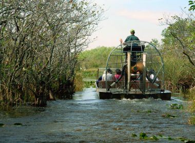 An airboat tour through the swamp.
