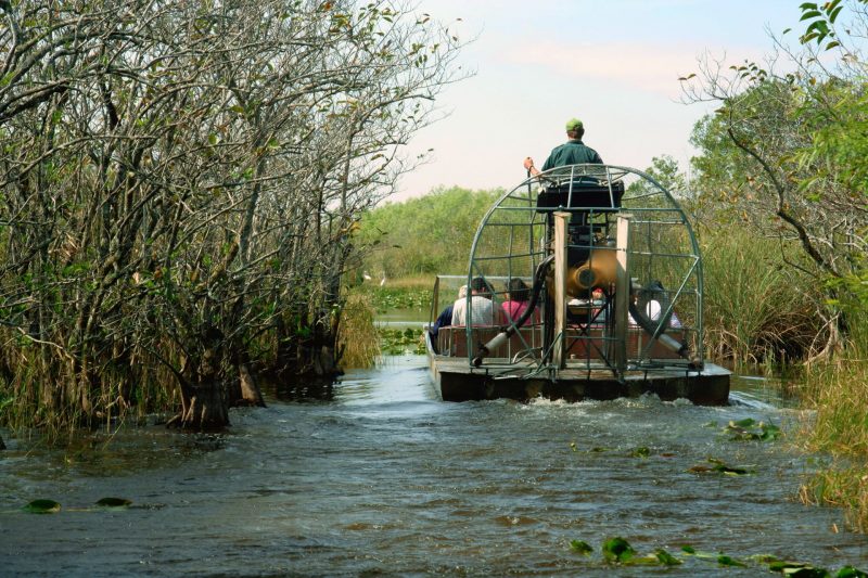 An airboat tour through the swamp.