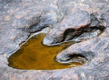 A theropod dinosaur footprint in stone filled in with water.