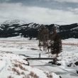 A visitor walks across a bridge over a stream in Yellowstone National Park in the winter.
