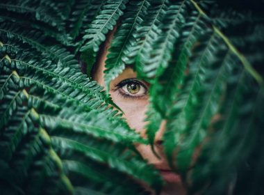 An eye pears through the ferns in the woods, hiding behind the wonder of the beauty of the forest.