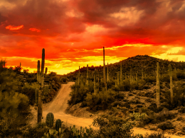 Sonoran sunset