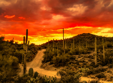 Sonoran sunset