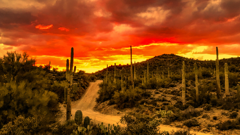 Sonoran sunset