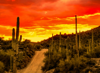 Sonoran sunset