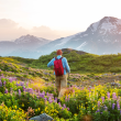 Hiking in North Dakota mountains