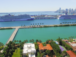 Cruise Ships in Miami Port