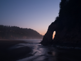 The Neskowin Ghost Forest at Dusk.