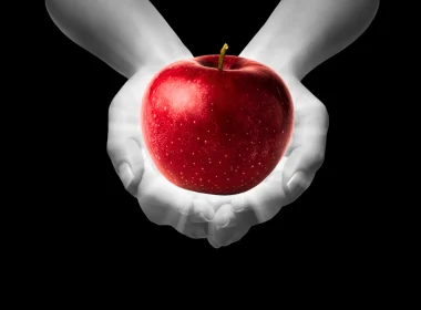 A black background and unsaturated hands holding a red apple, emulating the cover of the first Twilight novel.