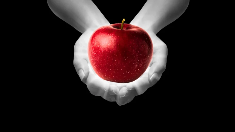 A black background and unsaturated hands holding a red apple, emulating the cover of the first Twilight novel.