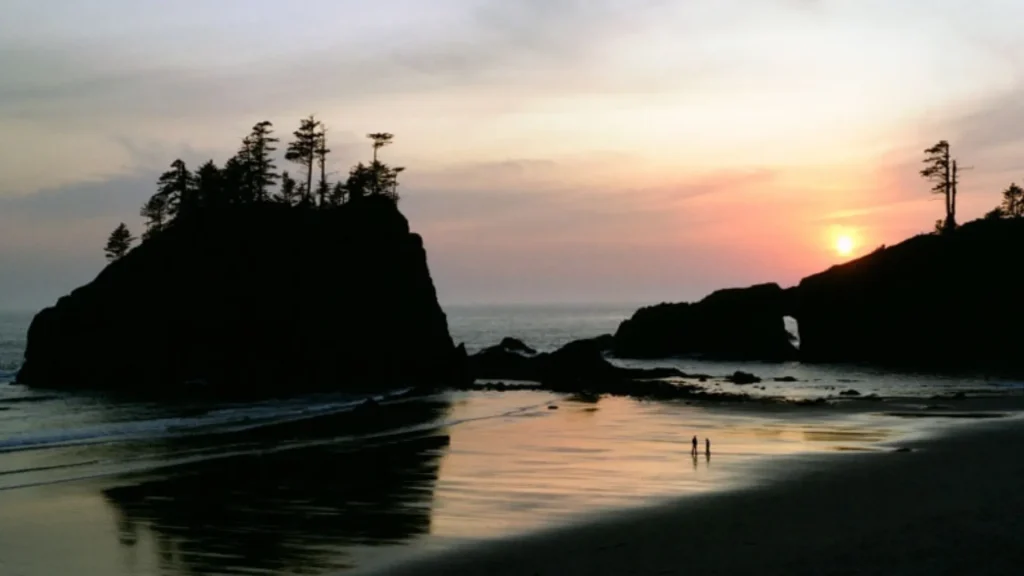 La Push Beach in Olympic National Park at dusk. It's highly contrasted by the pink and mauve sky as the sun sets behind a rocky peninsula. 