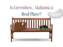 A bench with a suitcase and a box of chocolates sitting on it as a white feather floats down. The images emulate the original cover of the Forrest Gump movie.