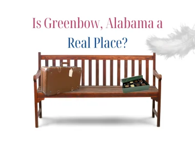 A bench with a suitcase and a box of chocolates sitting on it as a white feather floats down. The images emulate the original cover of the Forrest Gump movie.