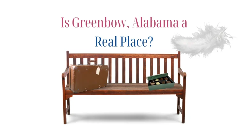 A bench with a suitcase and a box of chocolates sitting on it as a white feather floats down. The images emulate the original cover of the Forrest Gump movie.