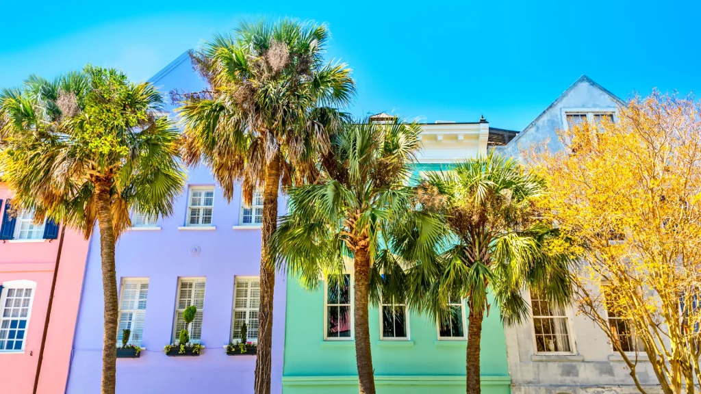 Rainbow Row in Charleston, SC. A bright blue sky sits above four brightly colored pastel buildings in pink, purple, green, and white. Palm trees stand tall in front of the buiildings. 