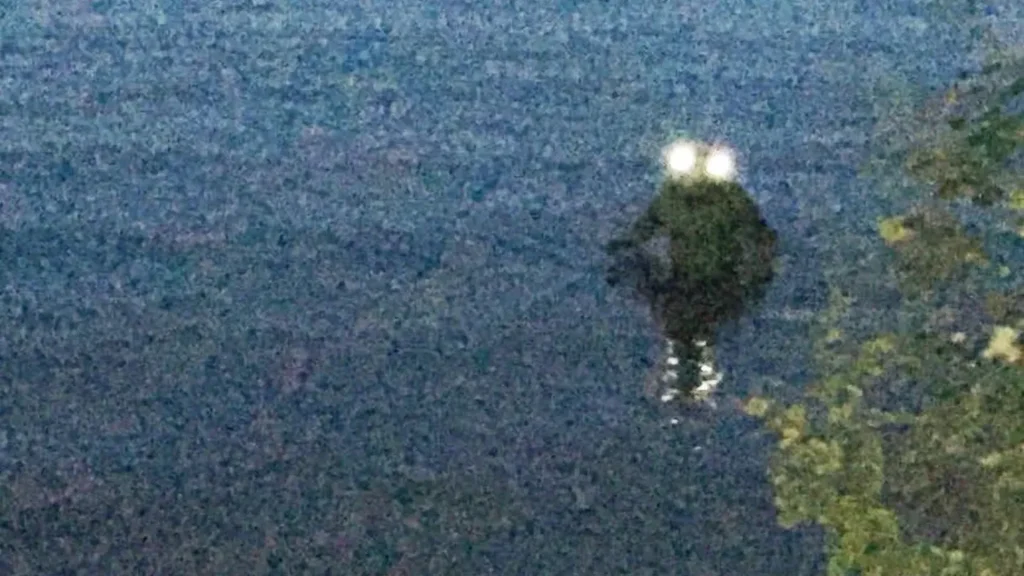 A blurry photograph of something standing in a body of water with bright glowing eyes, representing the Loveland Frog.