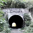 The Moonville Tunnel, a brick tunnel surrounded by overgrown foliage.