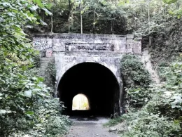 The Moonville Tunnel, a brick tunnel surrounded by overgrown foliage.
