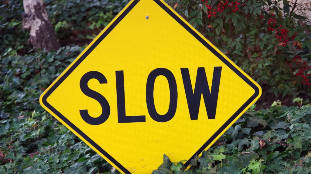 A yellow yield sign that says "SLOW" as it sits in dense foliage. 