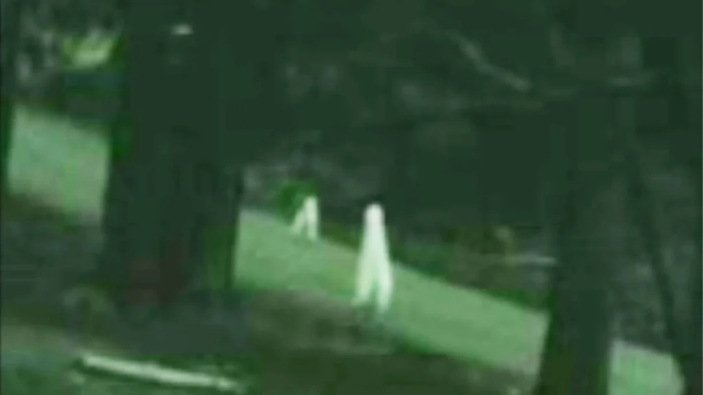 A photo from the Fresno Bee of the alleged Fresno Nightcrawlers. It's green from the night vision and two white figures with long legs are captured.