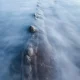 Long exposure of the oscean with a rib of a rock.
